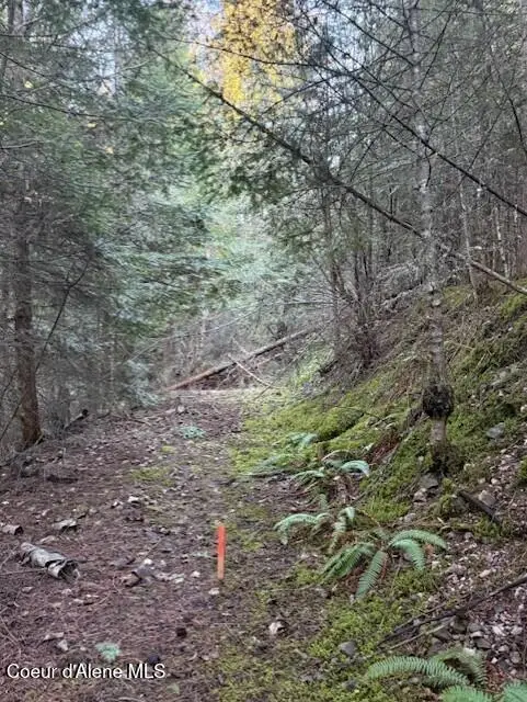 NNA Half Round Bay LOT 5, Harrison, ID 83833 - #3