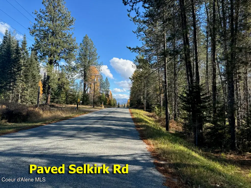 NNA Selkirk Rd, Sandpoint, ID 83864 - #1