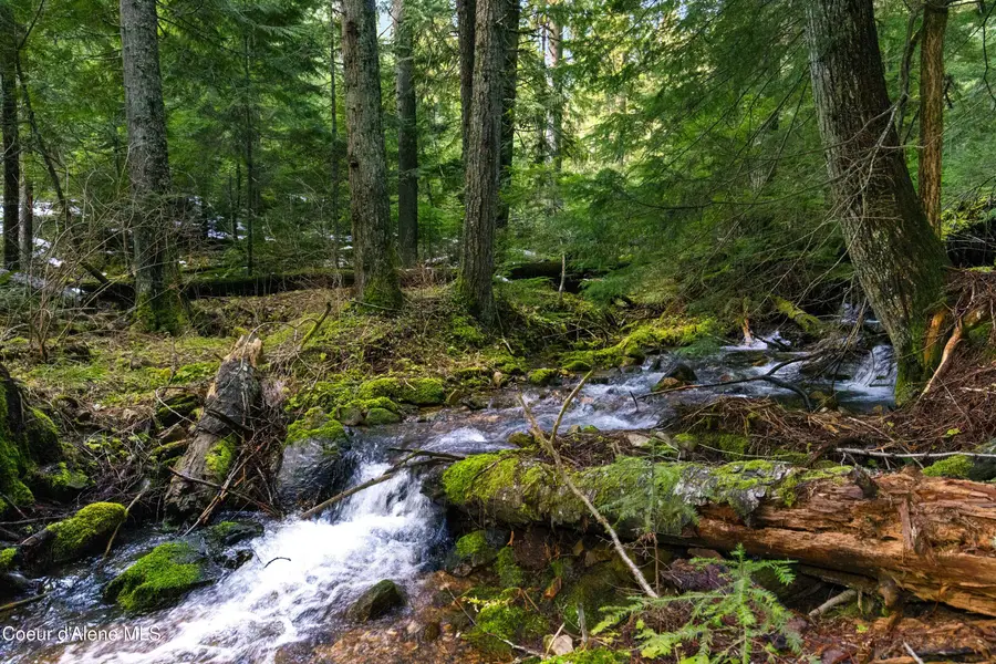 NKA Philips Draw Rd., Saint Maries, ID 83861 - #2