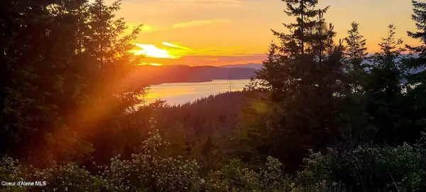 5254 E Mabel Ln, Harrison, ID 83833