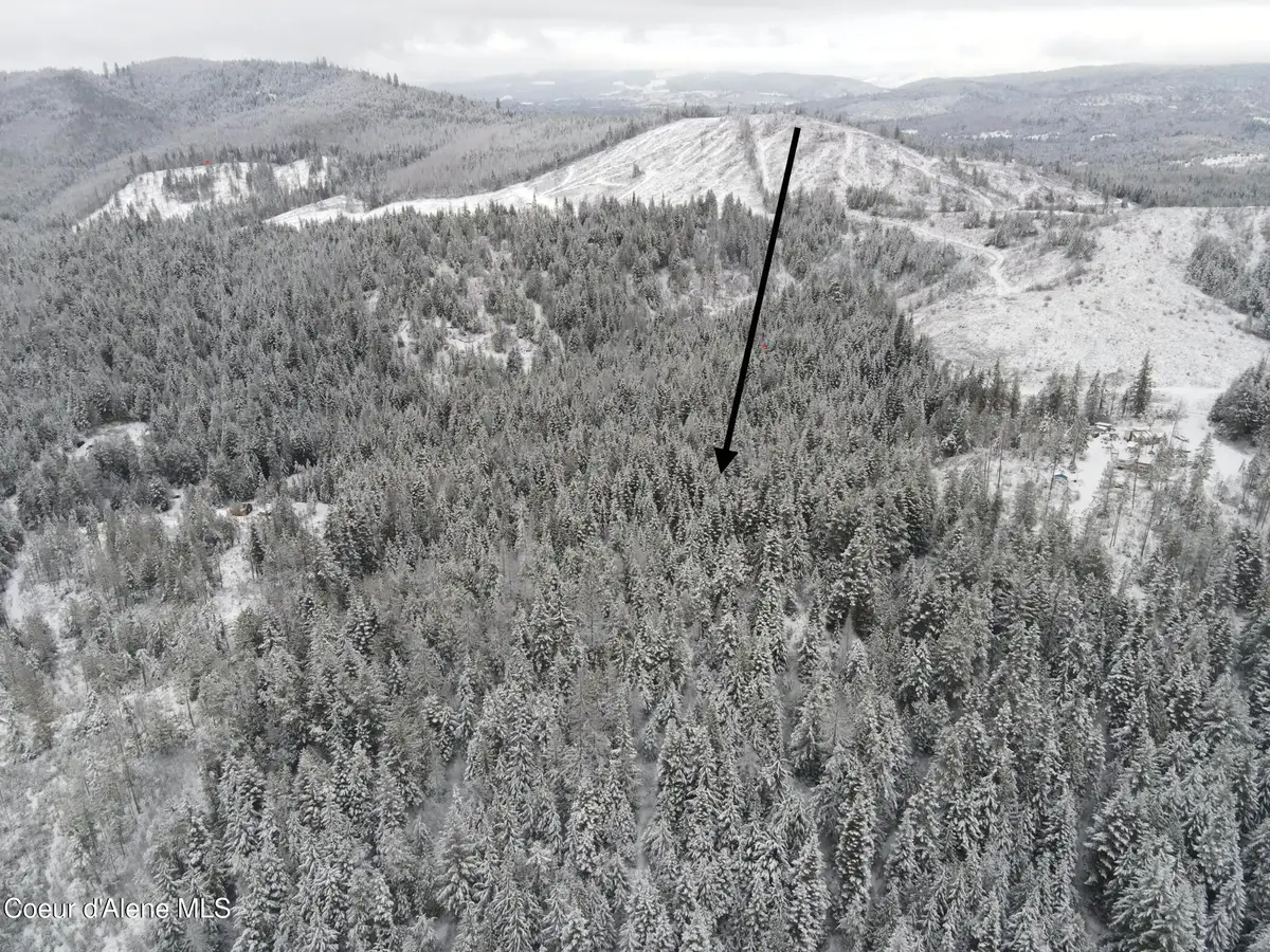 393 E Ridge Rd, Saint Maries, ID 83861 - Image #1