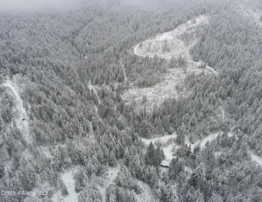 393 E Ridge Rd, Saint Maries, ID 83861 - #3