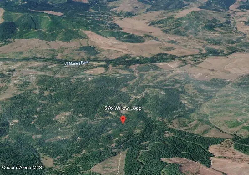 676 Willow Loop, Fernwood, ID 83830 - #3