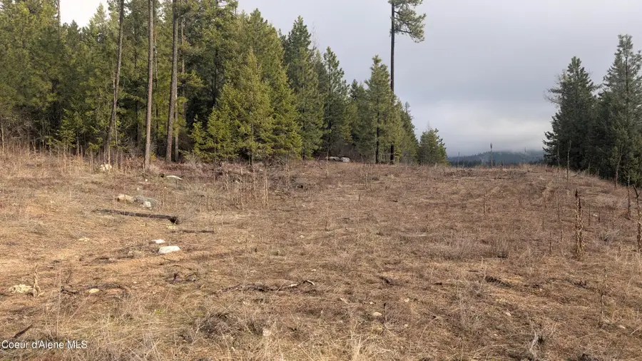 L3 CONTOUR LANE, Athol, ID 83801 - #3