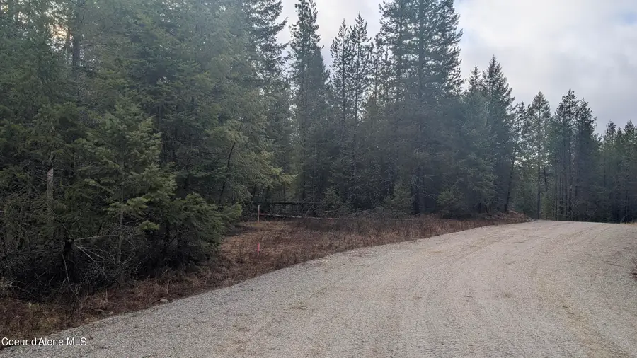 L1 CONTOUR LANE, Athol, ID 83801 - #3