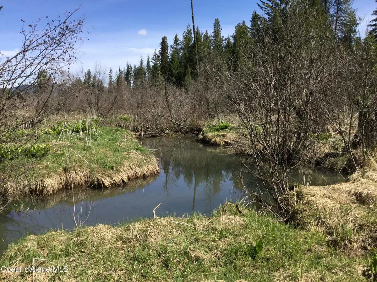 Tyson Creek Rd, Santa, ID 83866 - Image #1