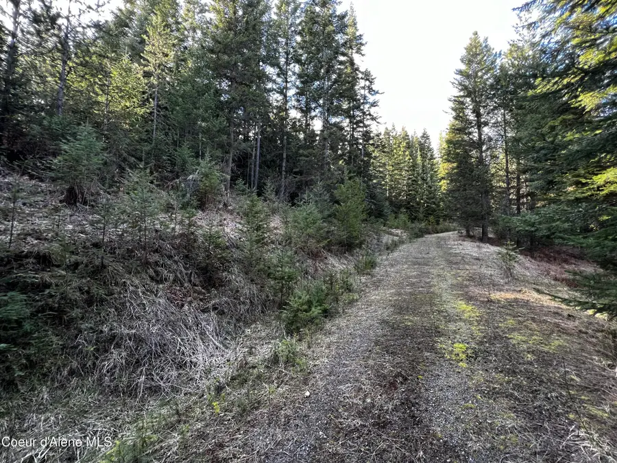 6.94 ac Bear Creek Rd, Kingston, ID 83839 - #3