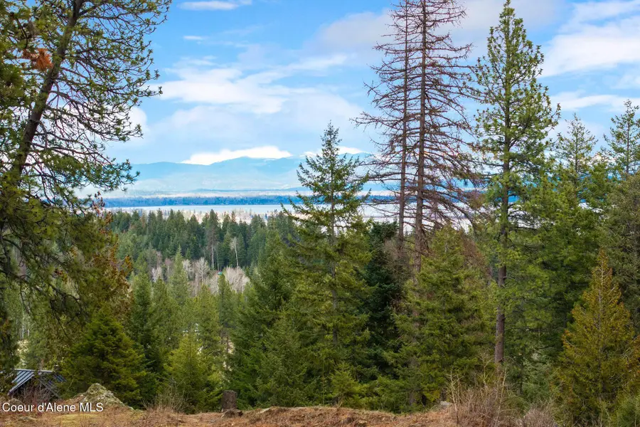 832 Mountain Ridge DR, Sagle, ID 83860 - #3