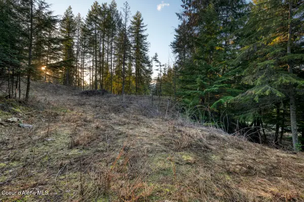 NNA White Cloud, Sandpoint, ID 83864