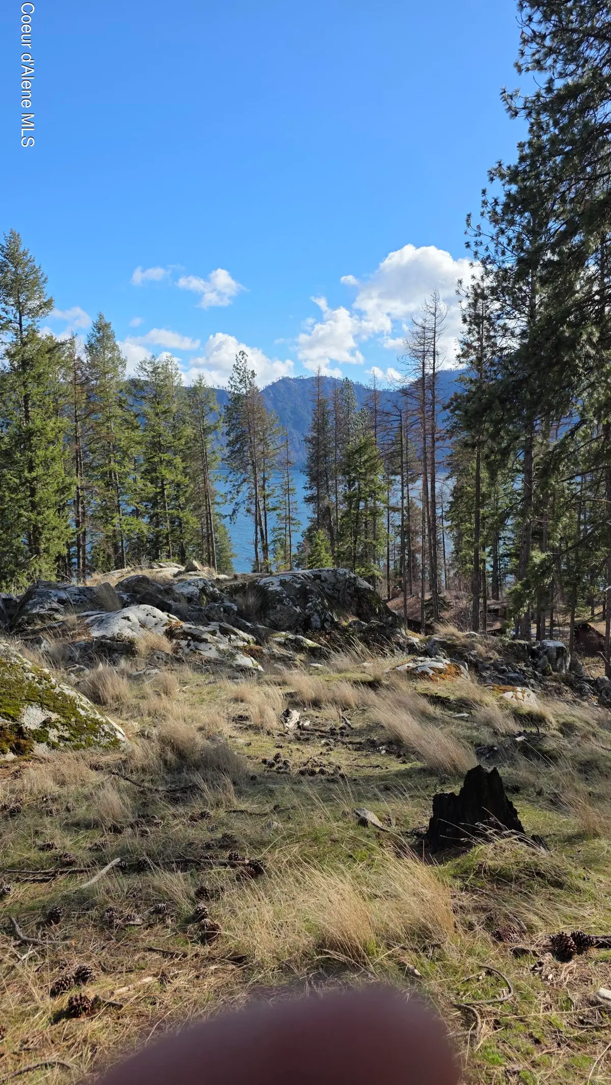 NNA N Terrace Dr, Bayview, ID 83803 - #1