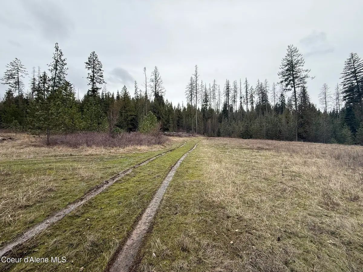 NKA Hells Gulch Rd, Saint Maries, ID 83861 - #1