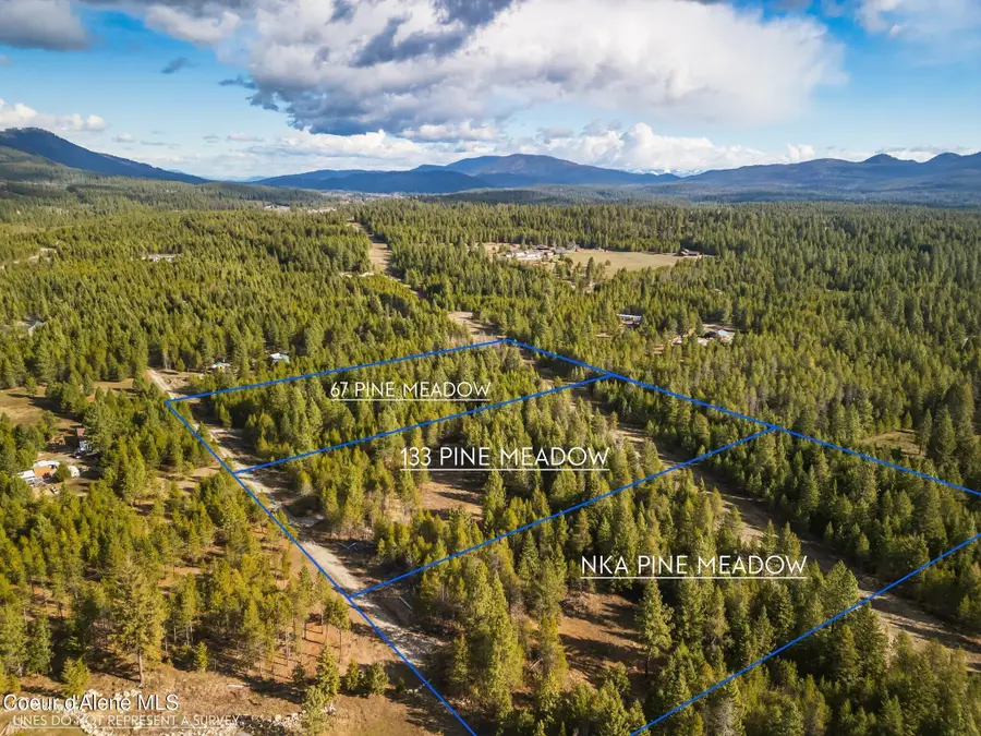 133 Pine MDW, Athol, ID 83801 - #2