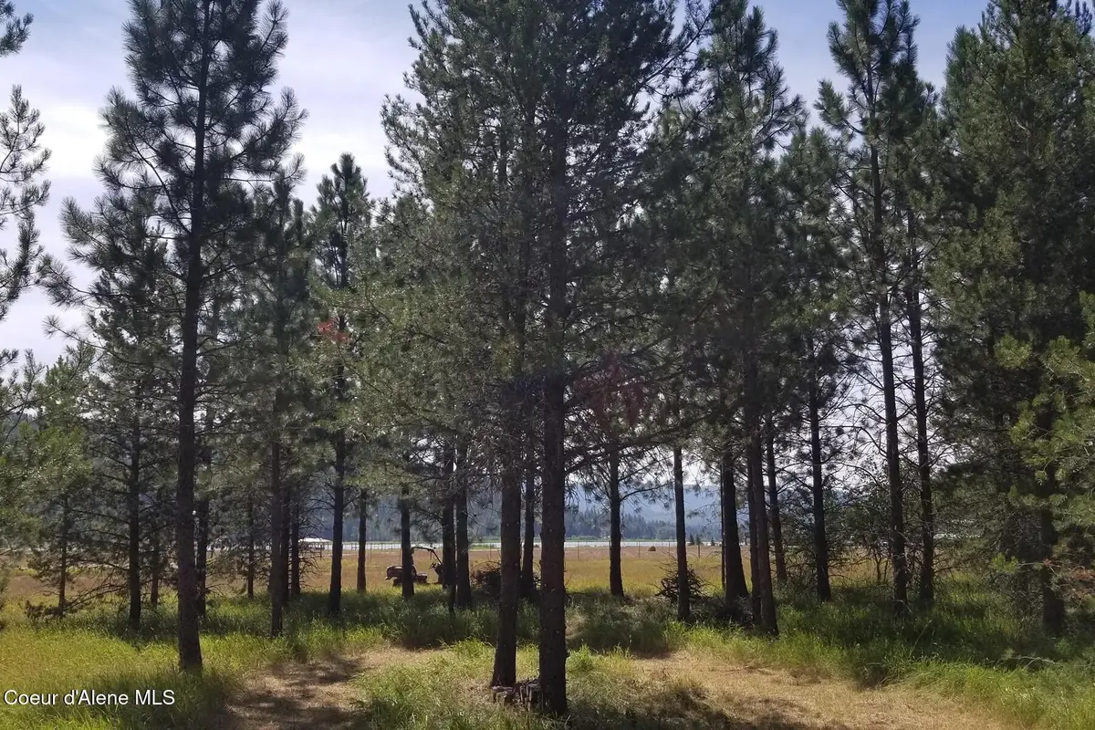 NNA Ponderesa Ranch Rd, Sagle, ID 83860 - #1