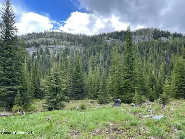 N 320 AC Shoot Creek Road, Unincorporated, ID 83525 - #1