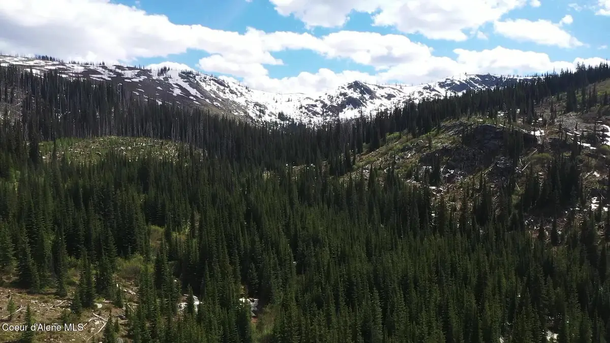 NKA 640 AC Shoot Creek Road, Elk City, ID 83525 - #1