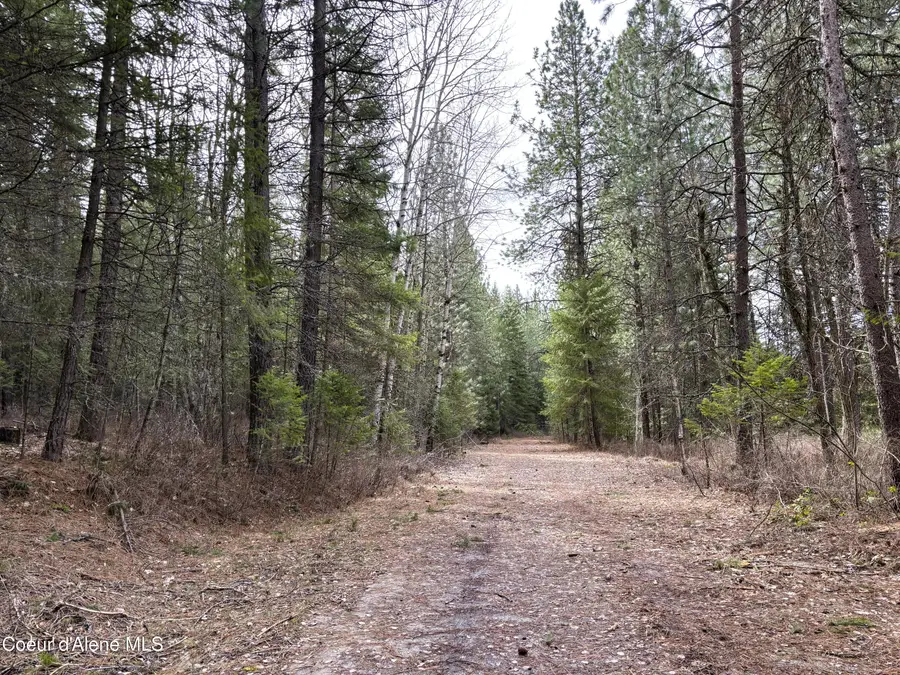 NNA No End Road, Cocolalla, ID 83813 - #2