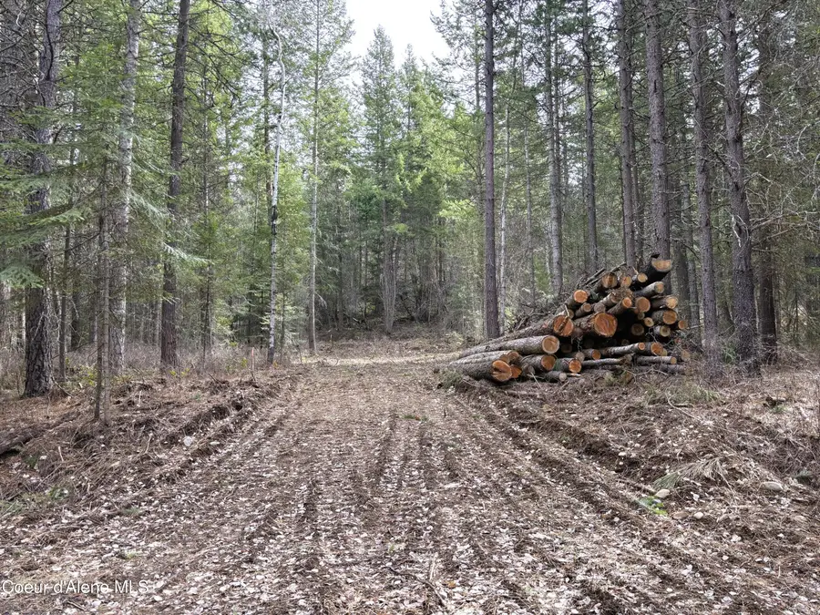 NNA No End Road, Cocolalla, ID 83813 - #3