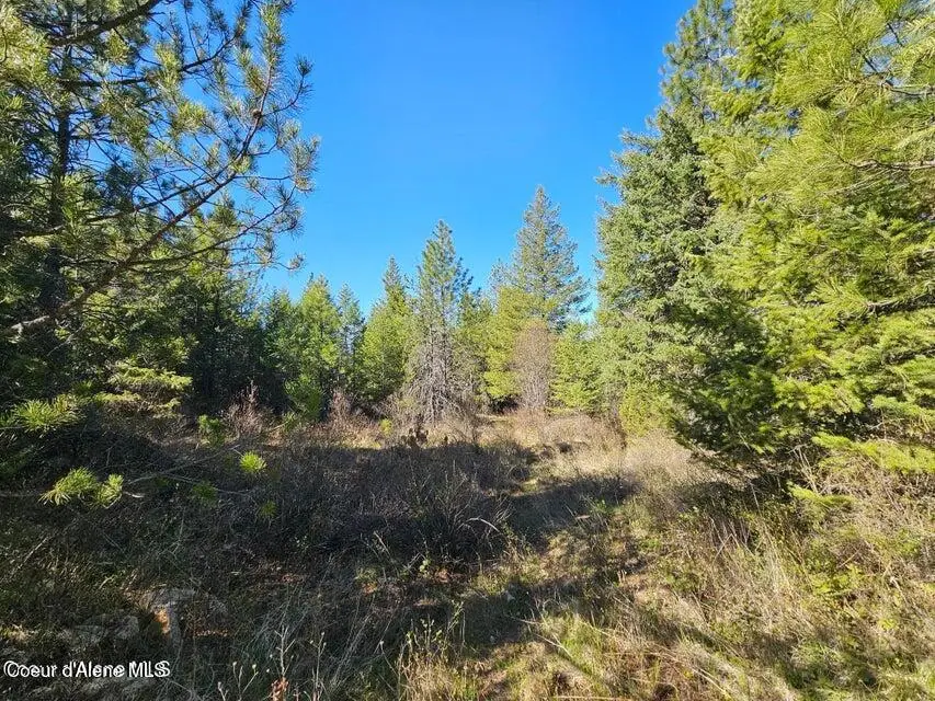 NNA N Sunset Hill Rd, Athol, ID 83801 - #2