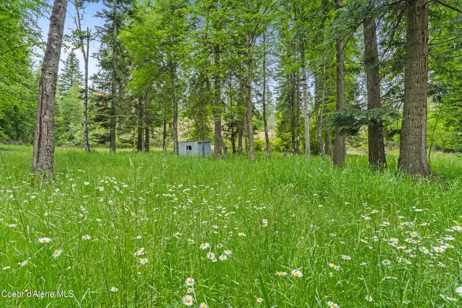 Lot 10 Birch Beauty RD, Priest River, ID 83856 - #2