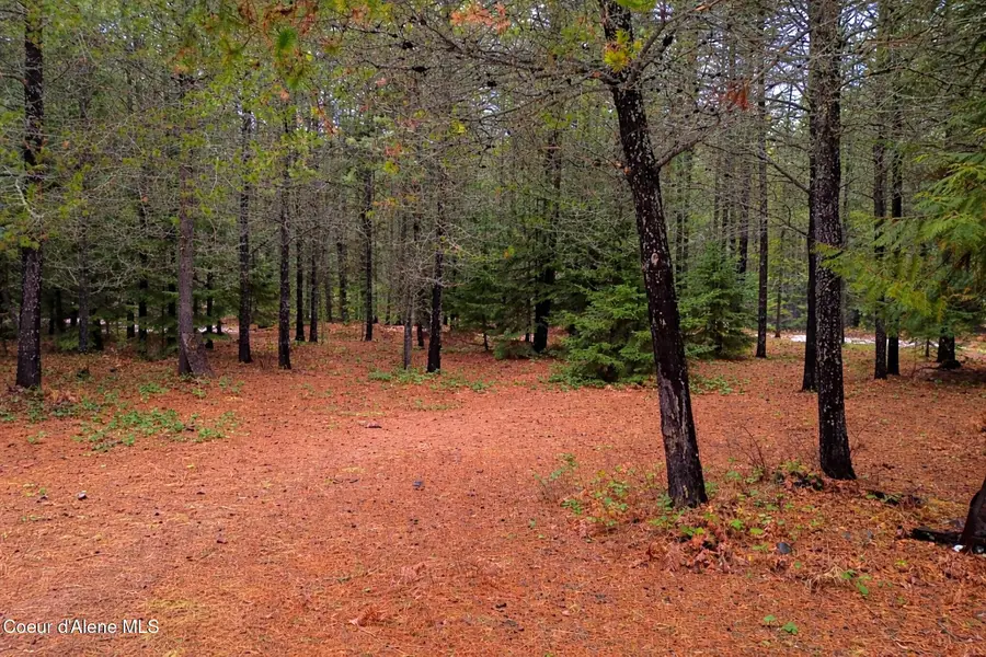 250 Chief Joseph LN, Sandpoint, ID 83864 - #2