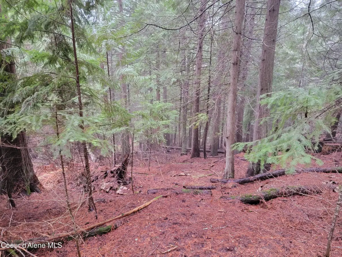 NKA Terry Trail, Priest River, ID 83856 - #1