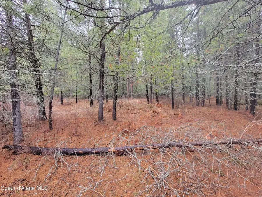 NKA Terry Trail, Priest River, ID 83856 - #2