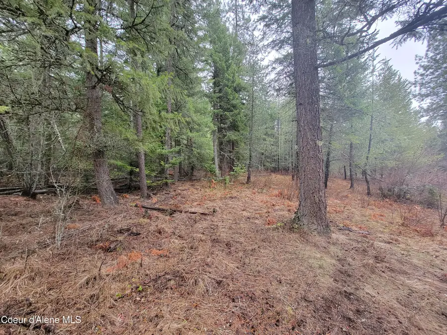 NKA Terry Trail, Priest River, ID 83856 - #3