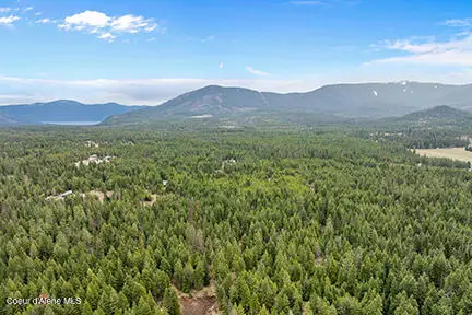 nna N Lewellen Creek Rd, Athol, ID 83801 - #3