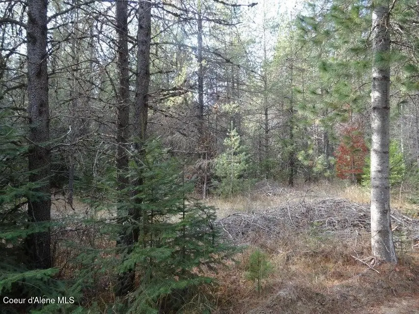 NNA Jasper Meadow (4951A) LN, Priest River, ID 83856 - #2