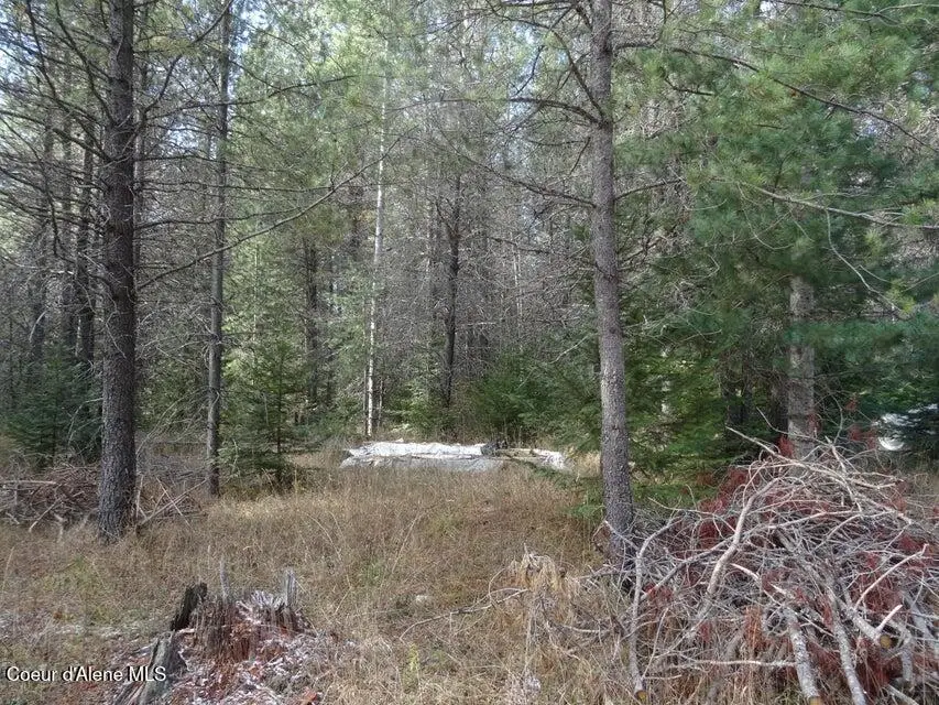 NNA Jasper Meadow (4951A) LN, Priest River, ID 83856 - #3