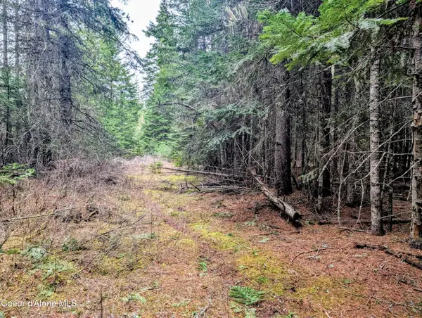 240 Buckeye LN, St. Maries, ID 83861