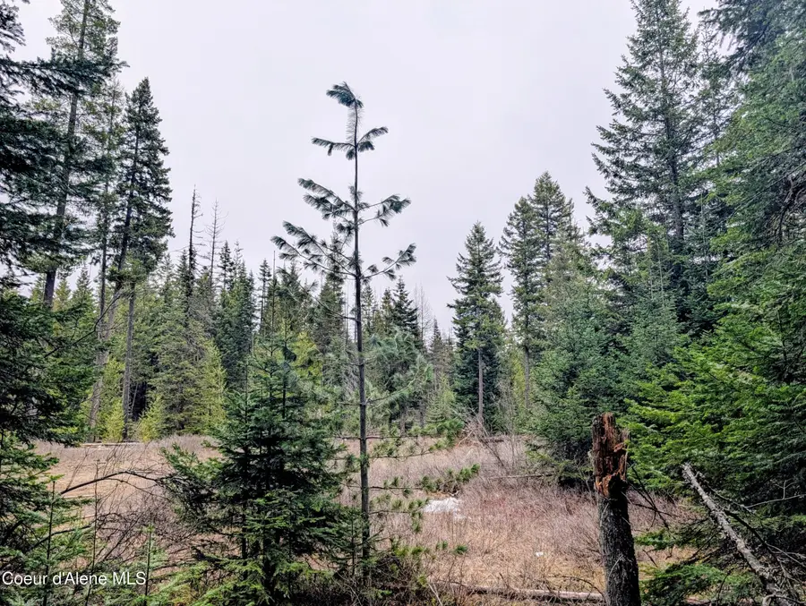 240 Buckeye LN, Saint Maries, ID 83861 - #2