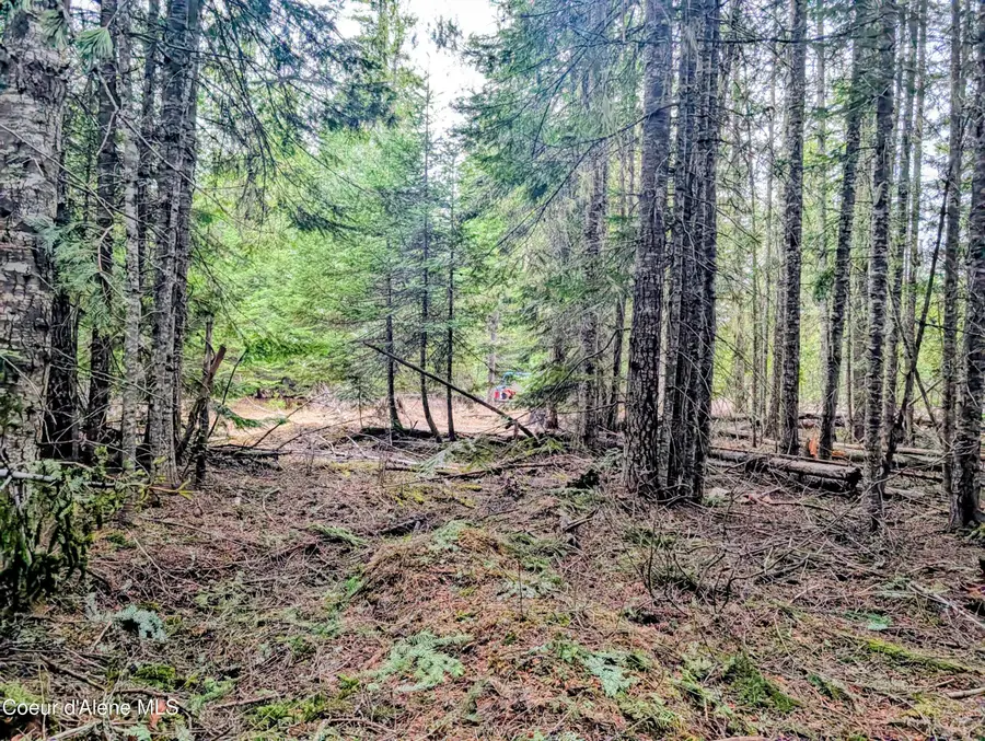 240 Buckeye LN, Saint Maries, ID 83861 - #3