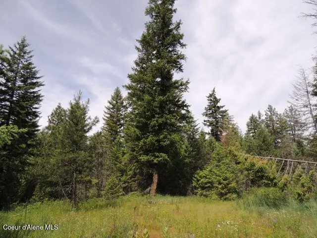 NKA Antler LN, Spirit Lake, ID 83869 - #2