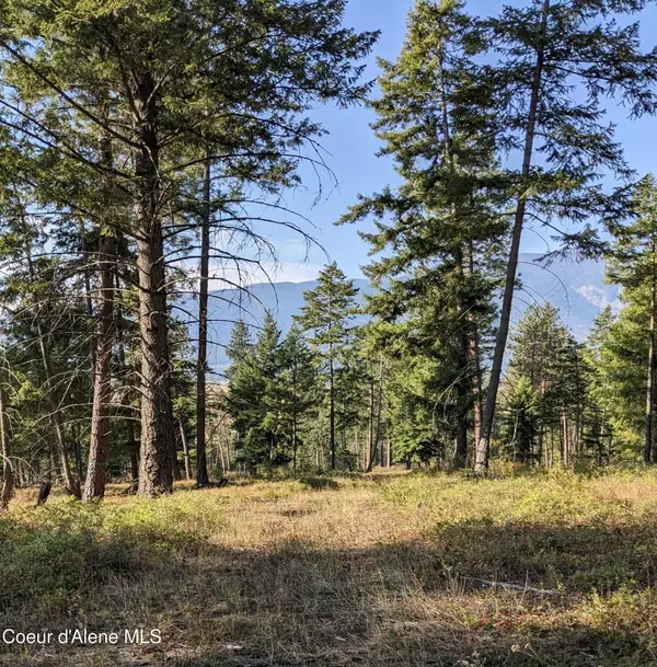 NNA 10 ac. New Chisholm Way, Bonners Ferry, ID 83805