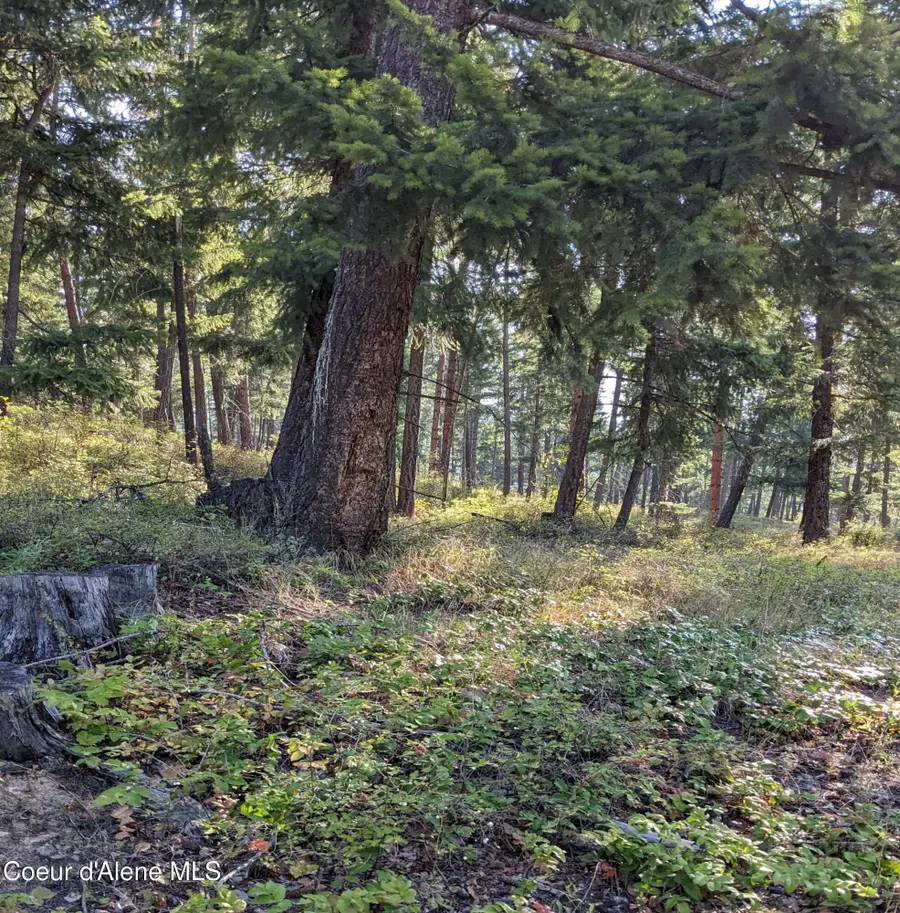 NNA 10 ac. New Chisholm Way, Bonners Ferry, ID 83805 - #3