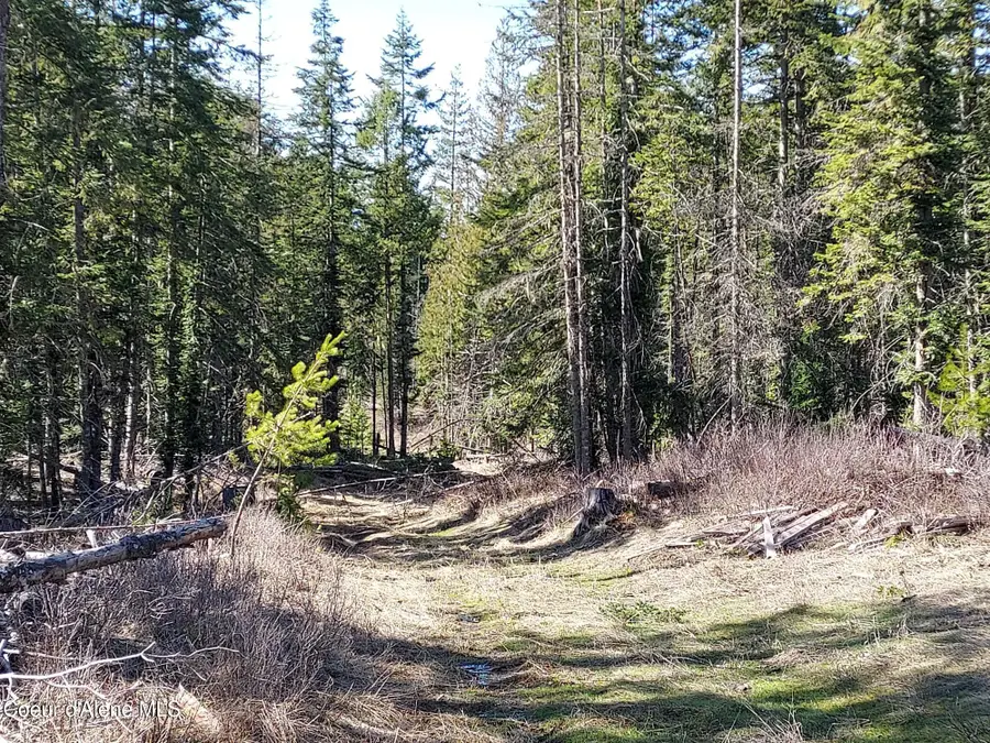 574 DORNING DR, Saint Maries, ID 83861 - #2