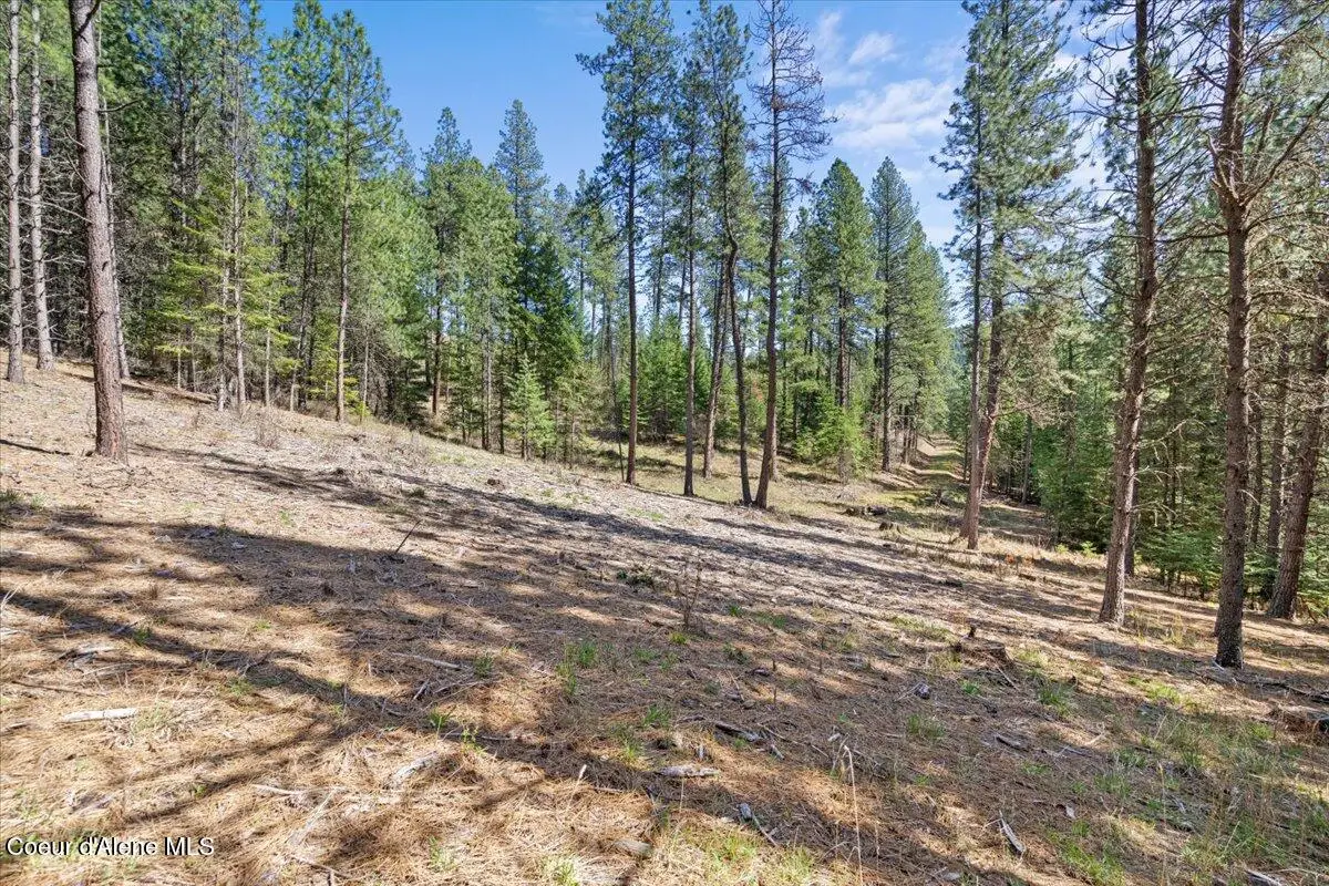 L1B1 NKA Highway 97, Harrison, ID 83833 - Image #1