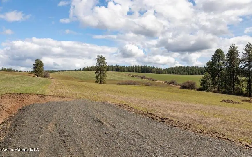 NKA Clifford Rd, Princeton, ID 83857 - #3