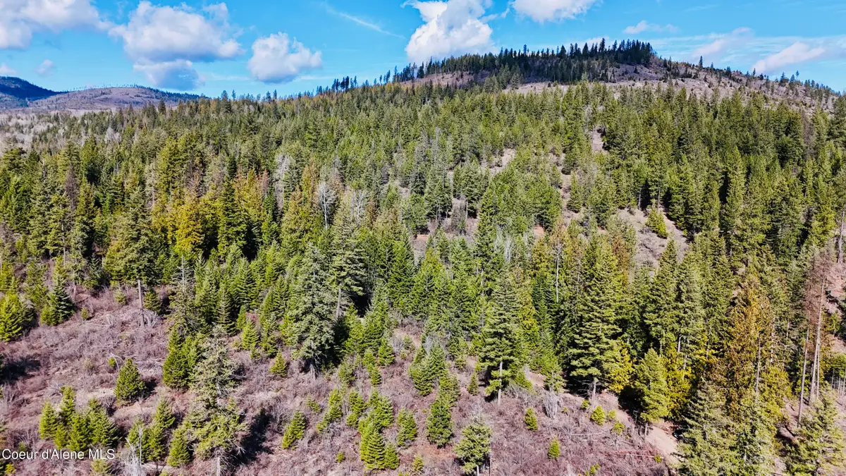 NKA N Whittum RD, Priest River, ID 83856 - #1