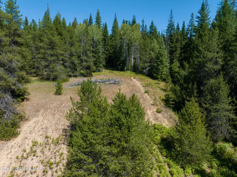 30 Acres Lamb Creek Rd, Priest River, ID 83856 - #3