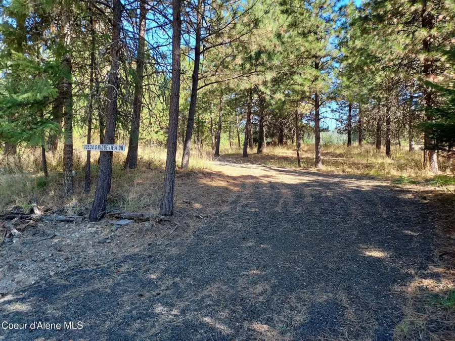 13534 S RIDGEVIEW DR, Harrison, ID 83833 - #2