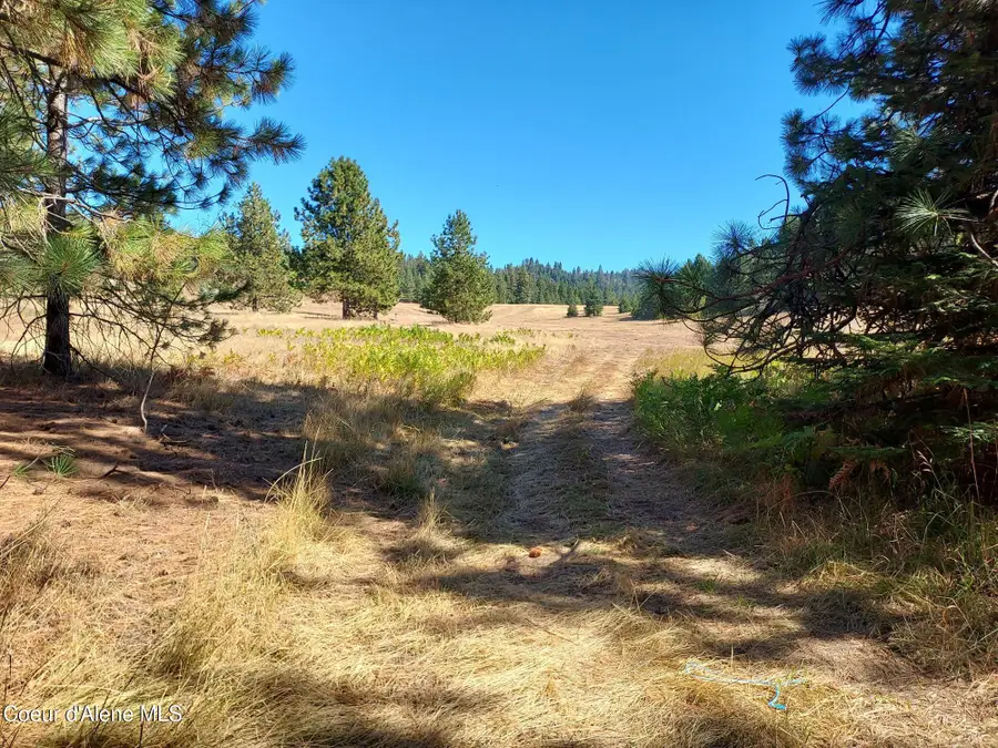 13534 S RIDGEVIEW DR, Harrison, ID 83833 - #3