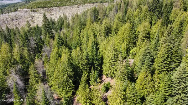 NKA Alder Creek, St. Maries, ID 83861