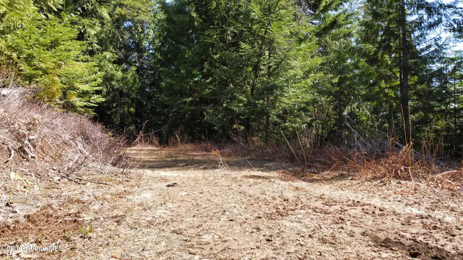 NKA Alder Creek, Saint Maries, ID 83861 - #3