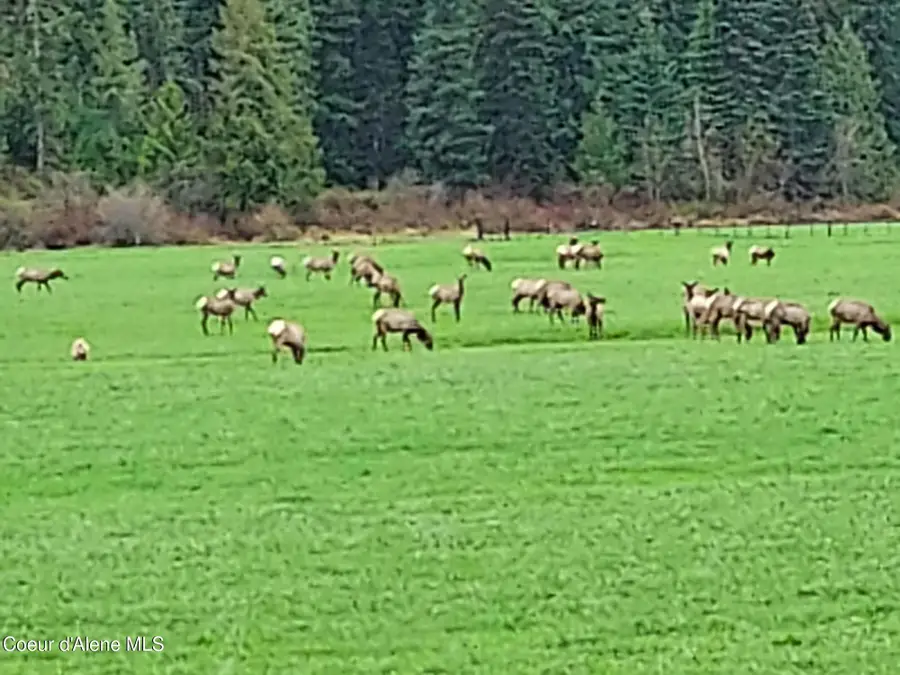 NKA ST JOE RIVER RD, Saint Maries, ID 83861 - #3