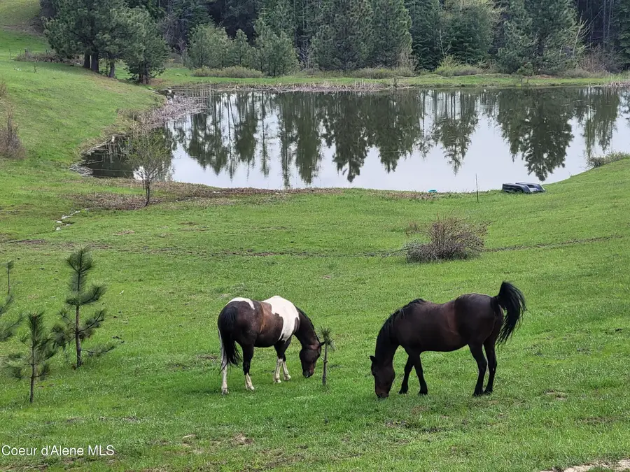 232 Cheyenne Drive, Saint Maries, ID 83861 - #2