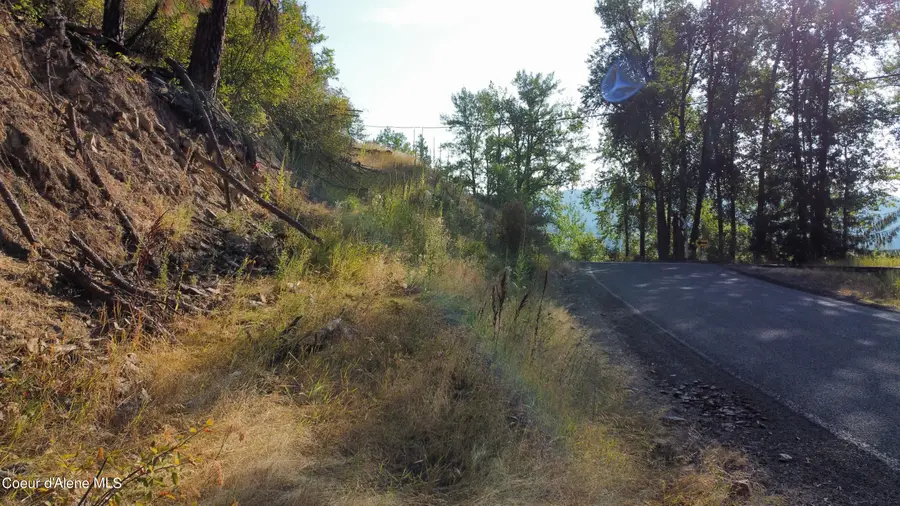 NKA St Maries River Rd, Saint Maries, ID 83861 - #2