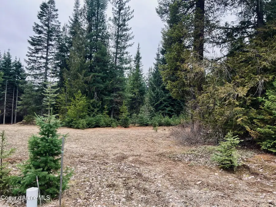 471 Long DR, Priest Lake, ID 83856 - #2