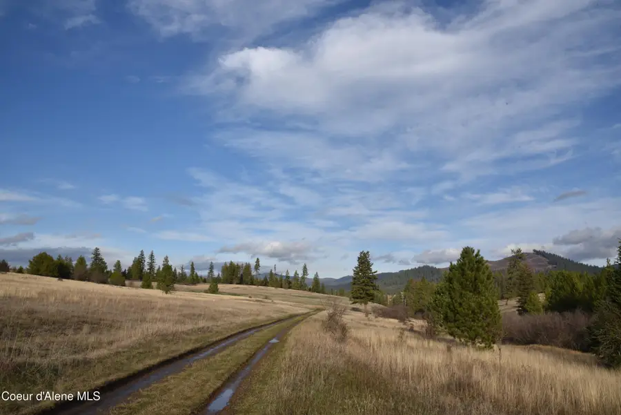 NKA Tyson Creek Rd, Santa, ID 83866 - #2